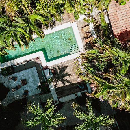 Griss Lodge & Spa Playa Santa Teresa  Luaran gambar