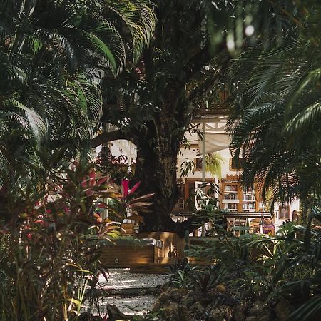 Griss Lodge & Spa Playa Santa Teresa  Luaran gambar