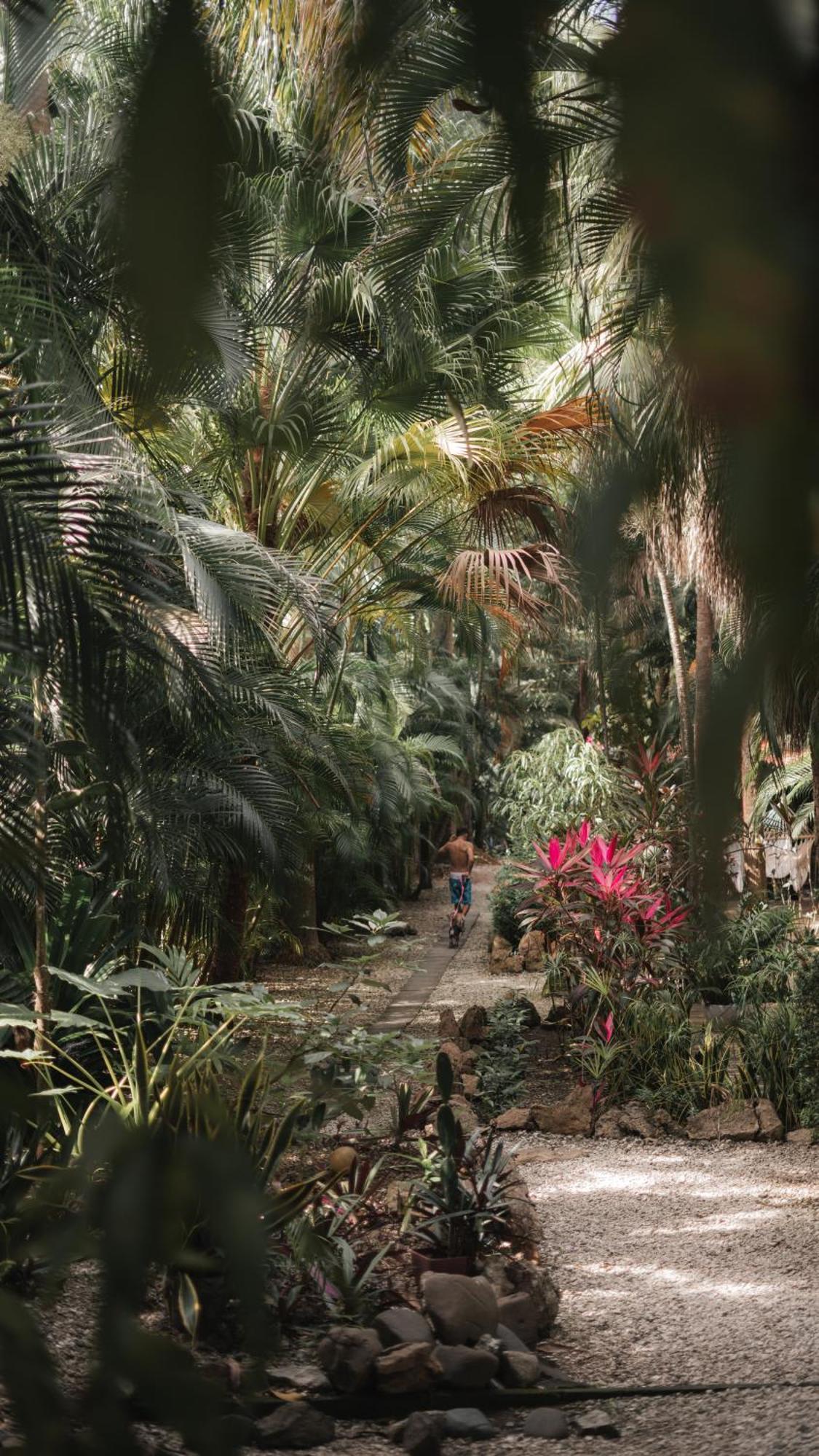 Griss Lodge & Spa Playa Santa Teresa  Luaran gambar
