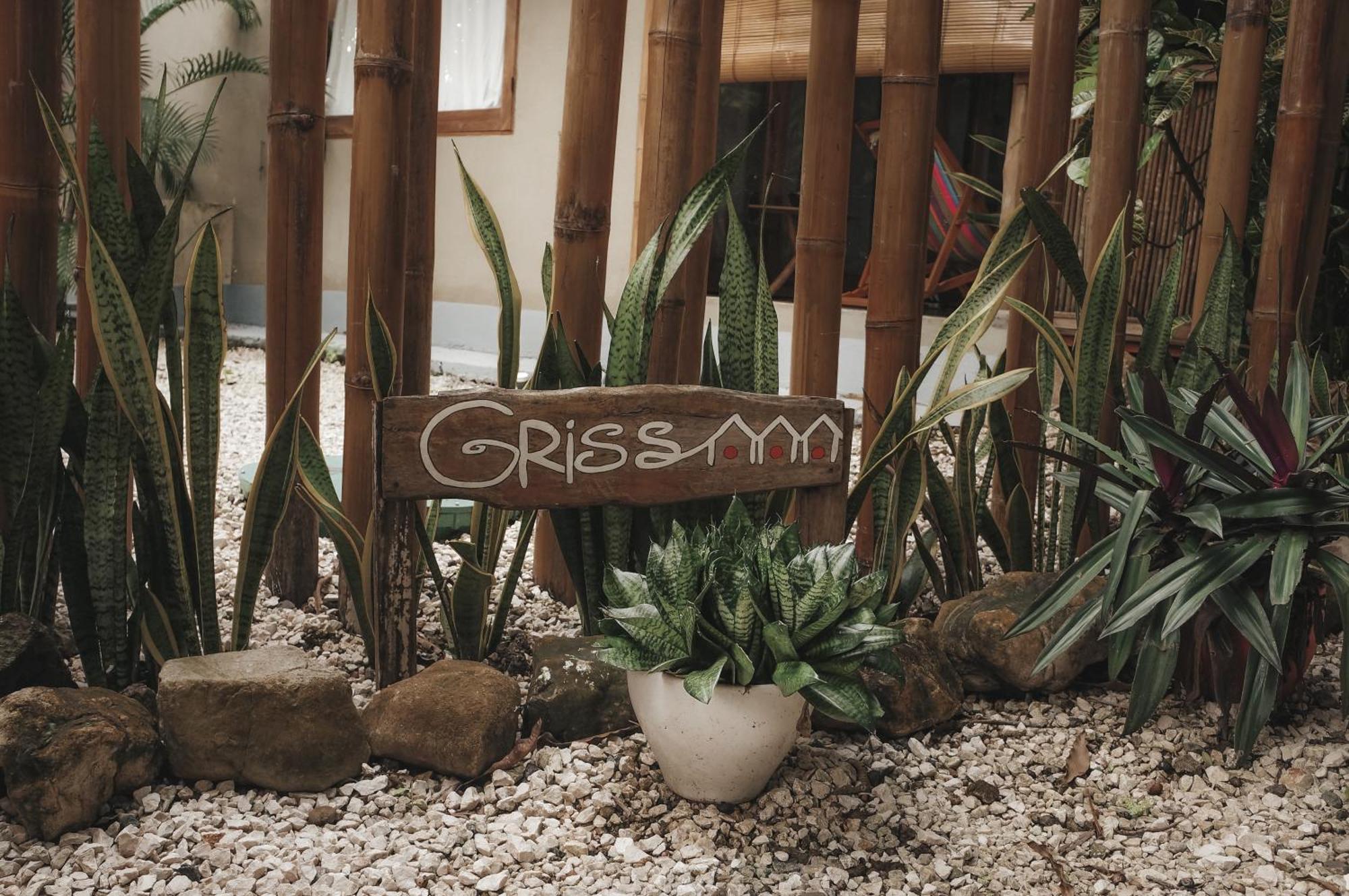 Griss Lodge & Spa Playa Santa Teresa  Luaran gambar