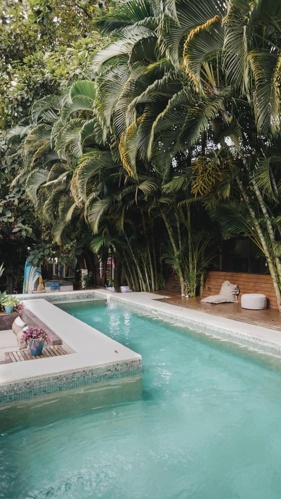 Griss Lodge & Spa Playa Santa Teresa  Luaran gambar
