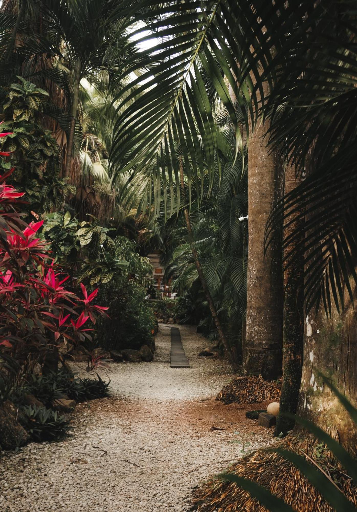 Griss Lodge & Spa Playa Santa Teresa  Luaran gambar