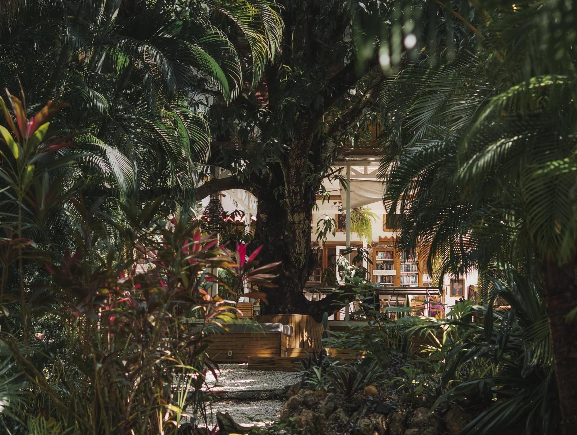 Griss Lodge & Spa Playa Santa Teresa  Luaran gambar