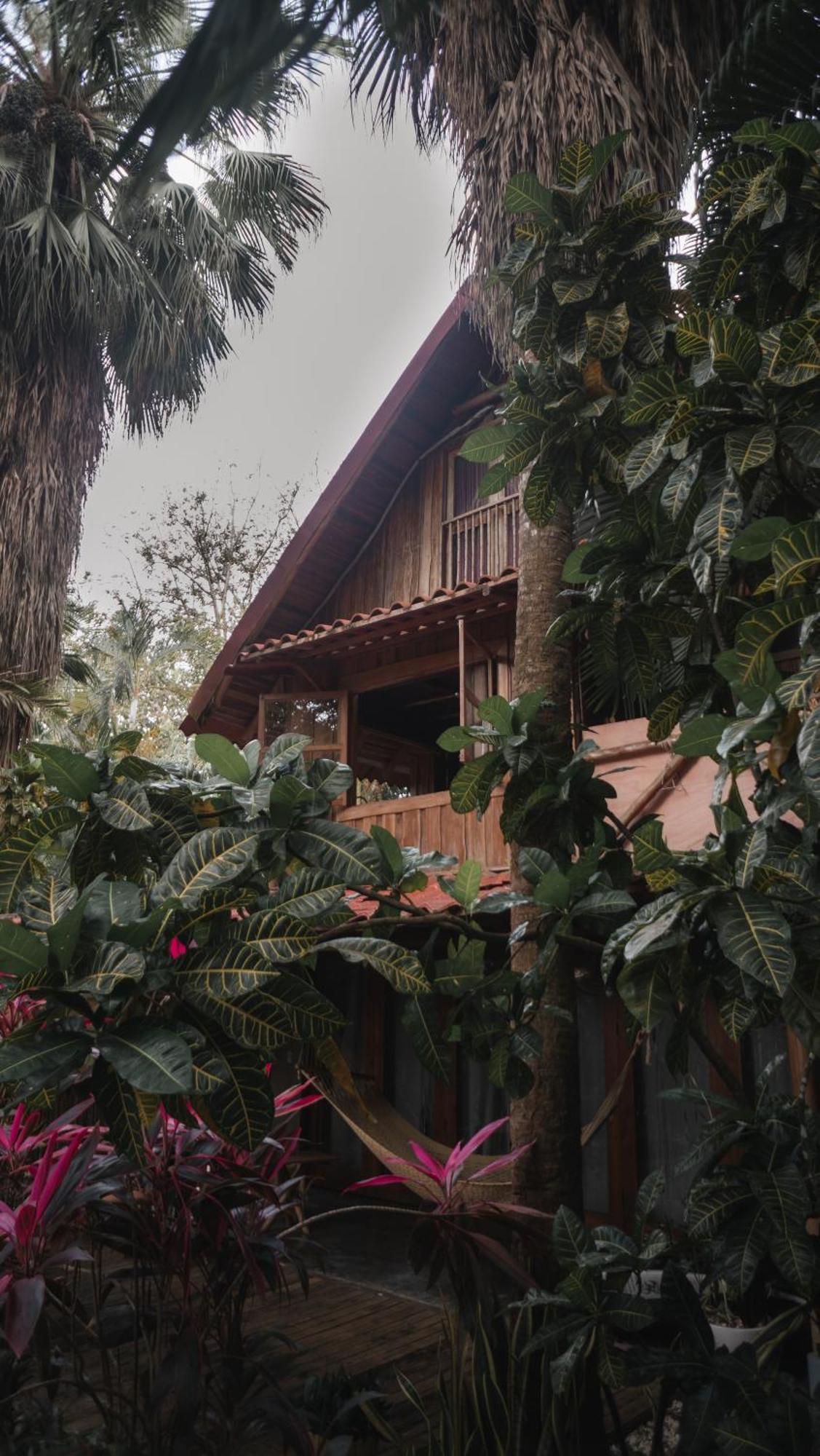 Griss Lodge & Spa Playa Santa Teresa  Luaran gambar