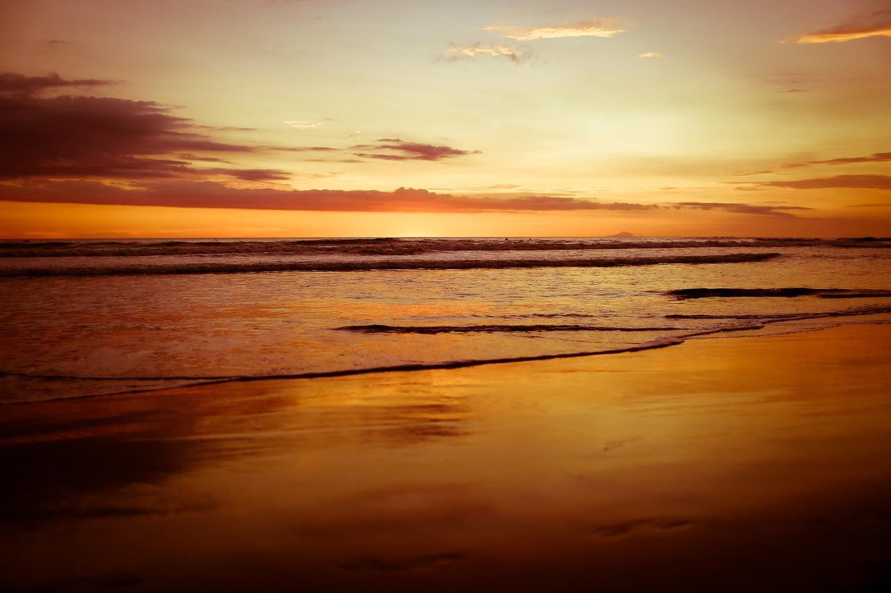 Griss Lodge & Spa Playa Santa Teresa  Luaran gambar